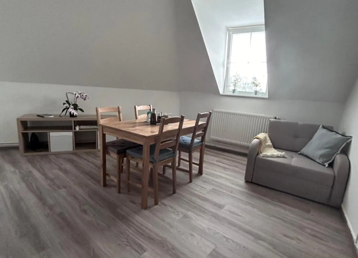 U Drahusky Apartment Prague