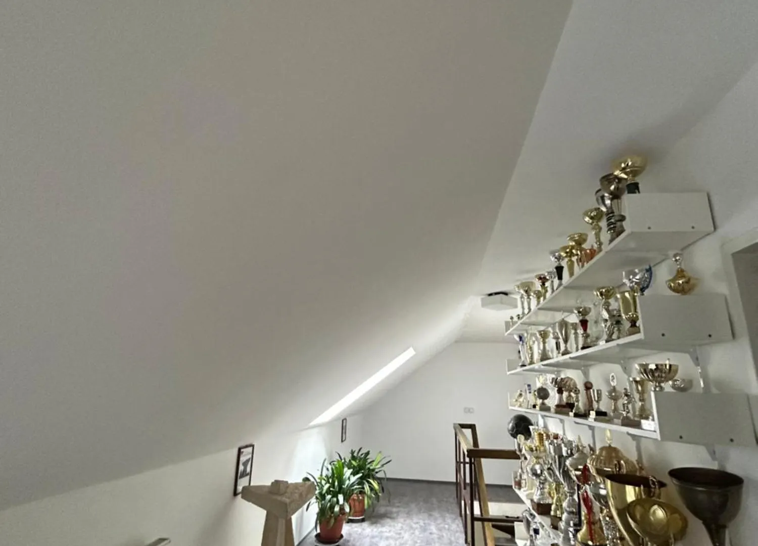 U Drahusky Apartment Prague