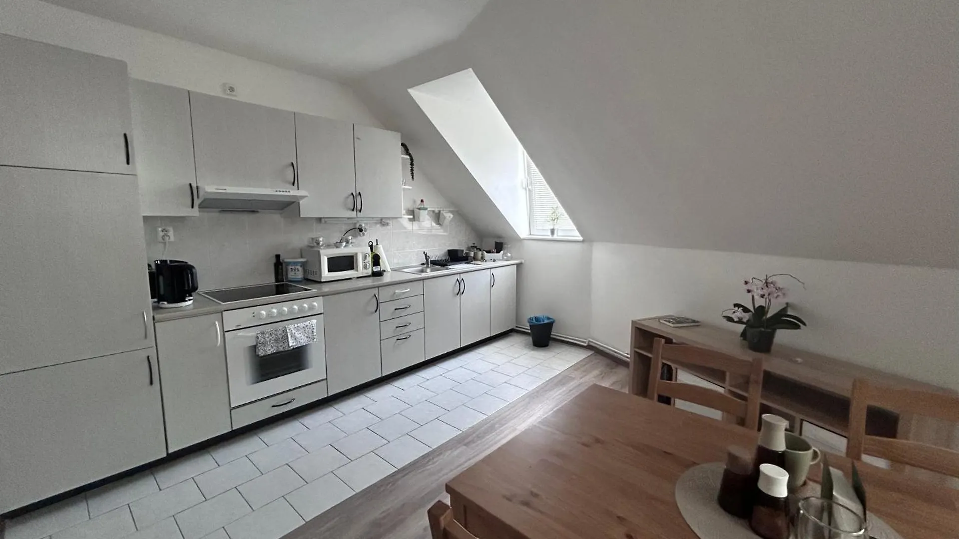 U Drahusky Apartment Prague 0*,